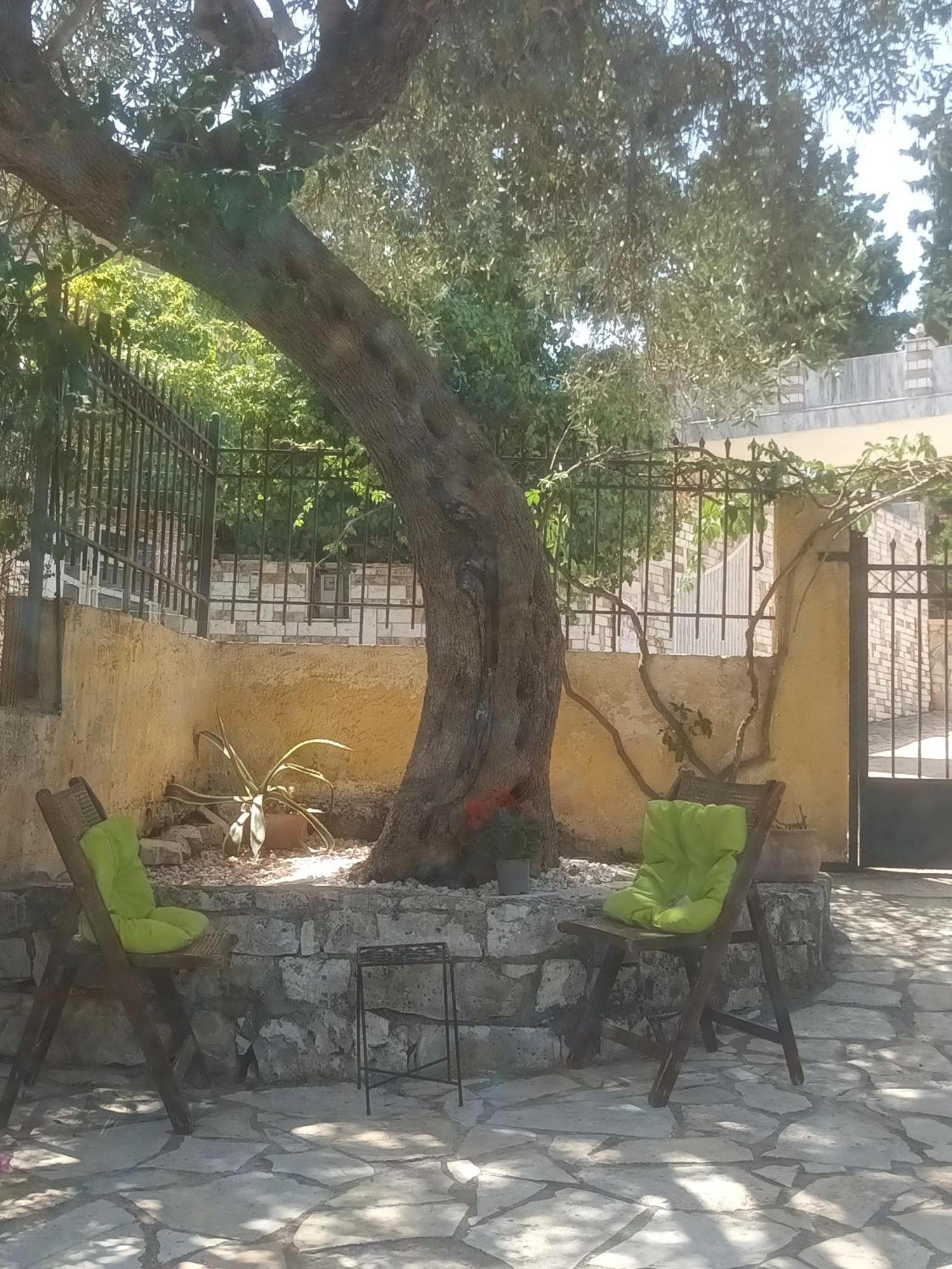 Casa Nonna Traditional Guest House Oziás 외부 사진